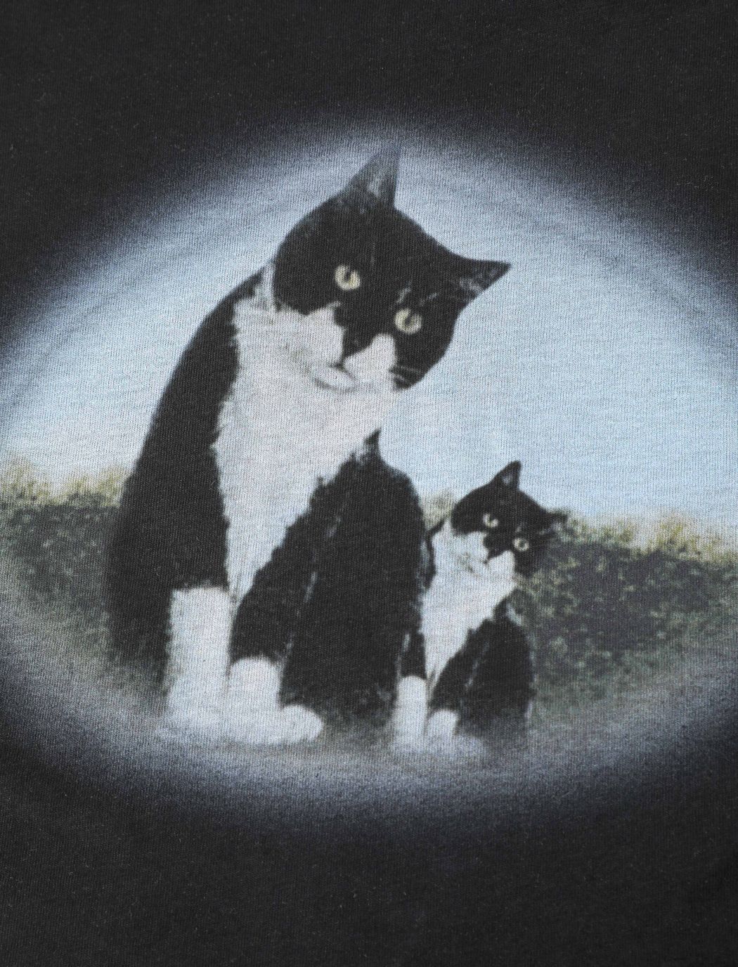 Cat Print Crop Shirt Cider