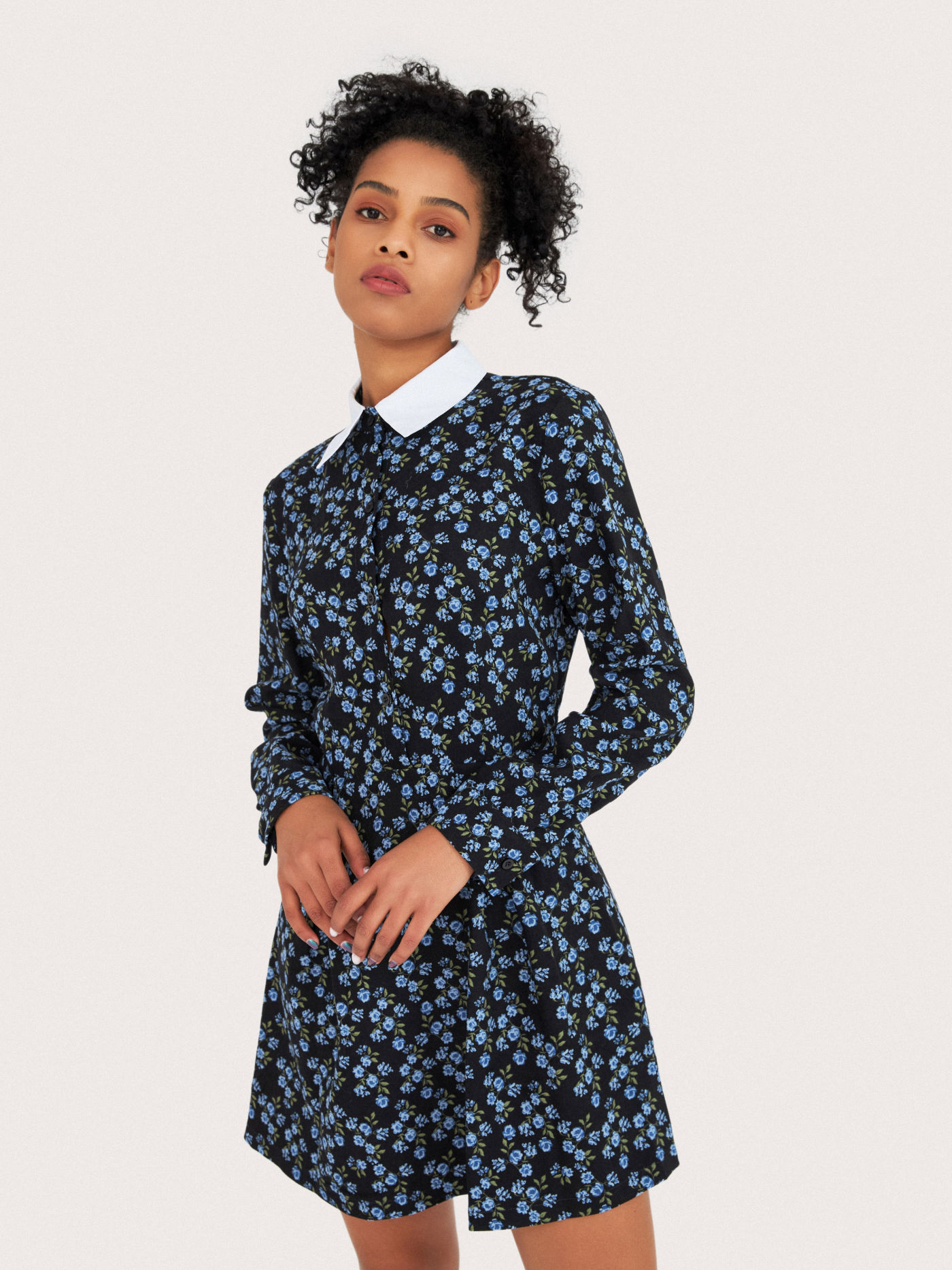 Rose Print Collar Mini Dress