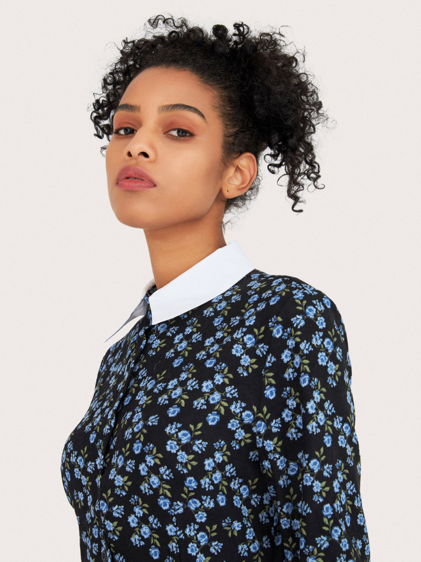 Rose Print Collar Mini Dress