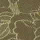 color display image