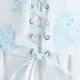 color display image