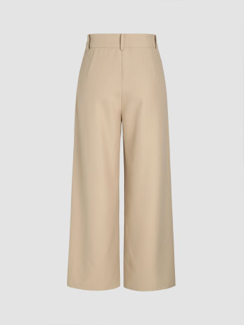 Solid Texture Pleated Wide Leg Trousers - Cider