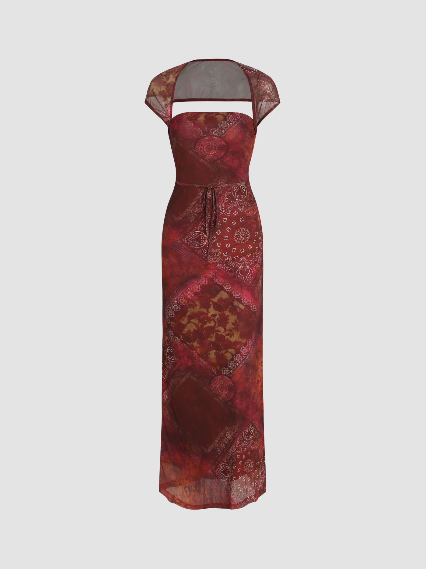 Paisley Pattern Mesh Maxi Dress
