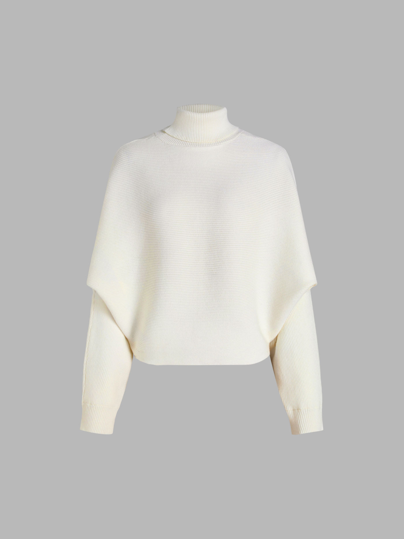 Solid Turtleneck Sweater