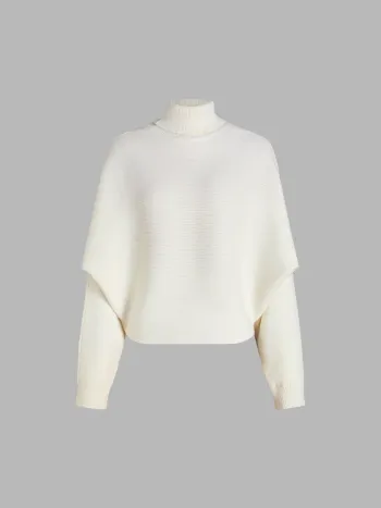 Solid Turtleneck Sweater