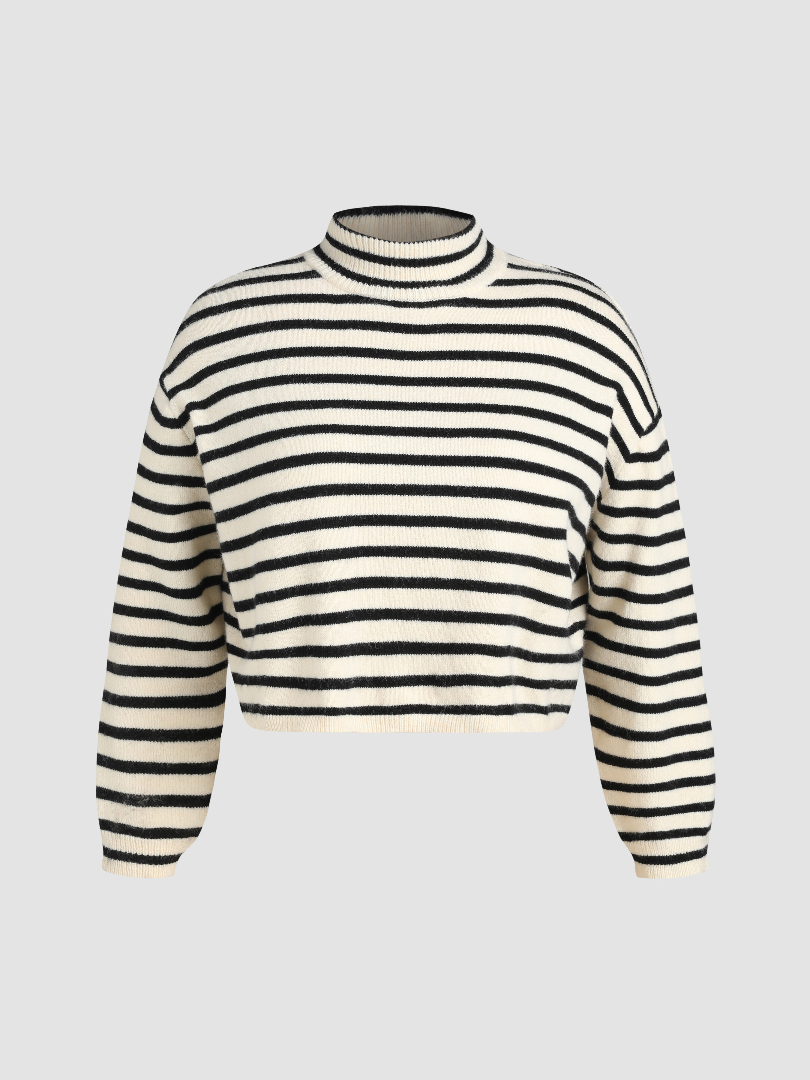 Curve & Plus Stripe High Neck Oversized Crop Sweater For School Work