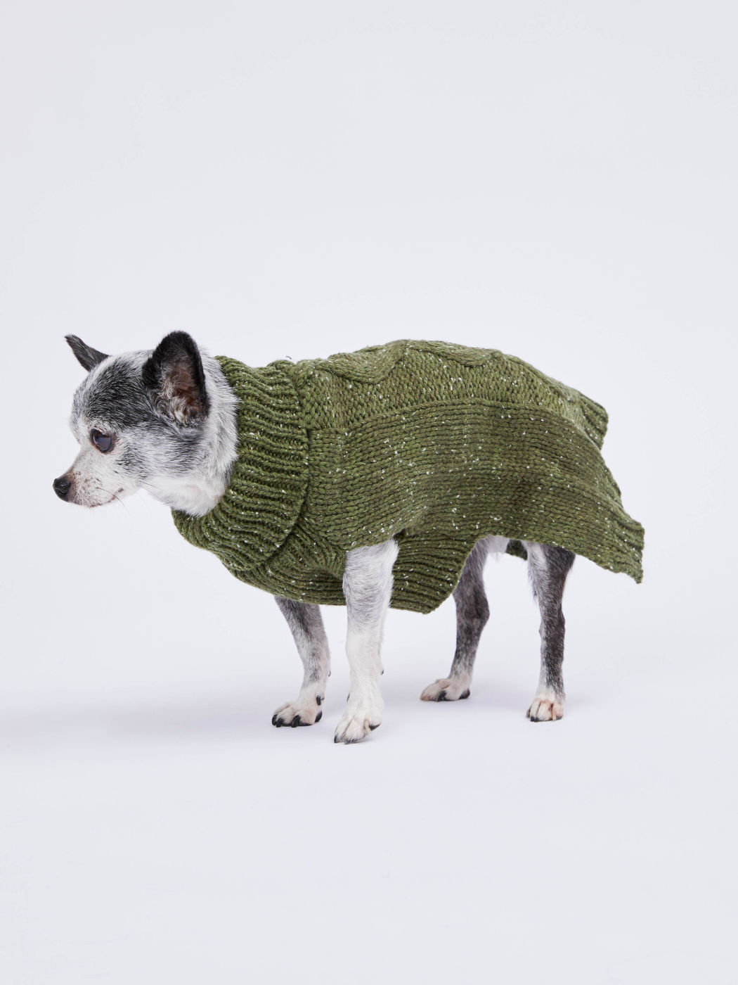  Olivgrüner Zopfmuster Strickpullover für Haustiere
