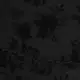 color display image