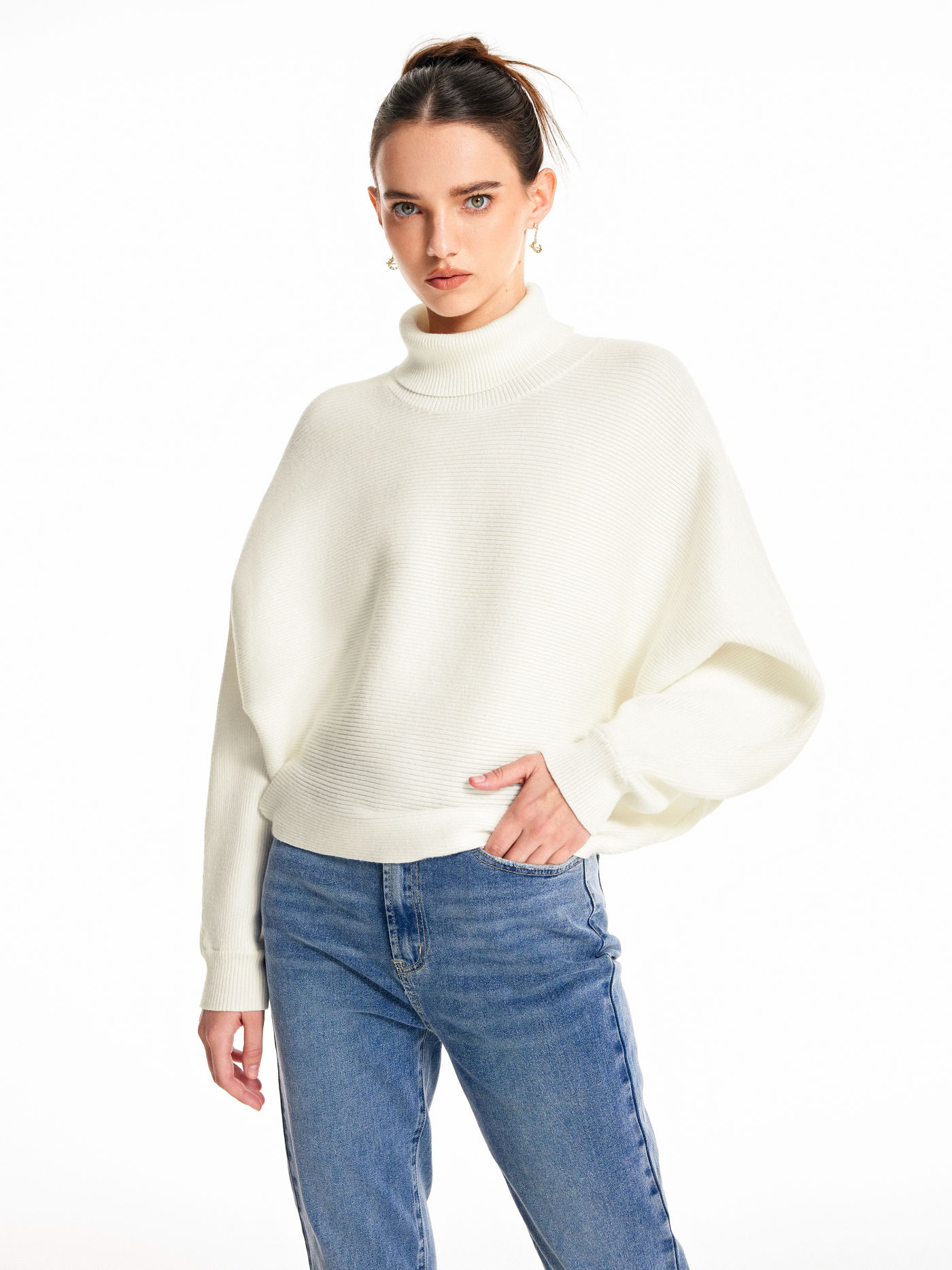 Solid Turtleneck Sweater
