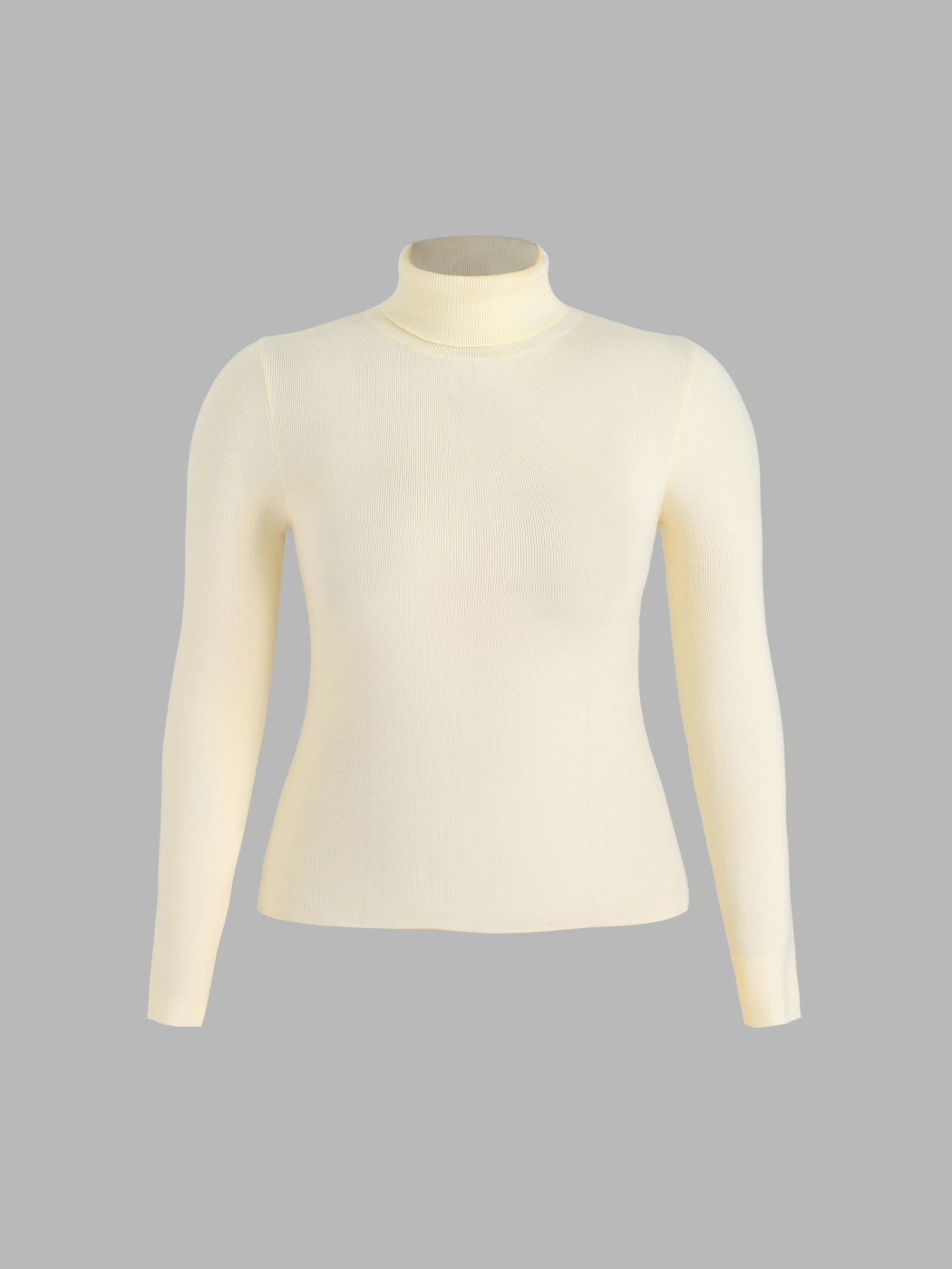Solid High Neck Knitted Long Sleeve Top Curve & Plus
