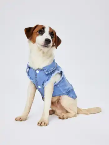 Denim Ripped Pet Clothing