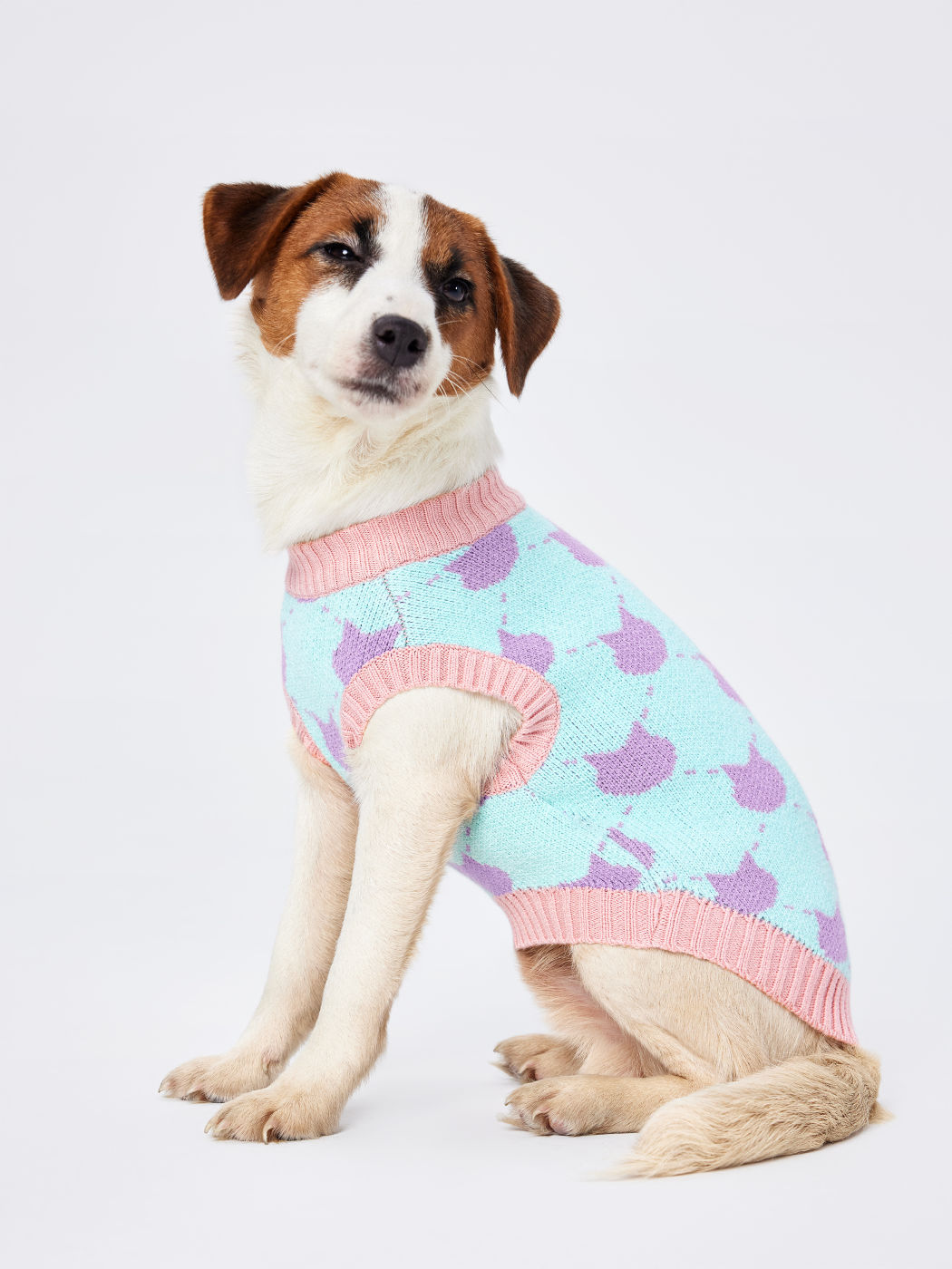 Cat Pattern Sweater