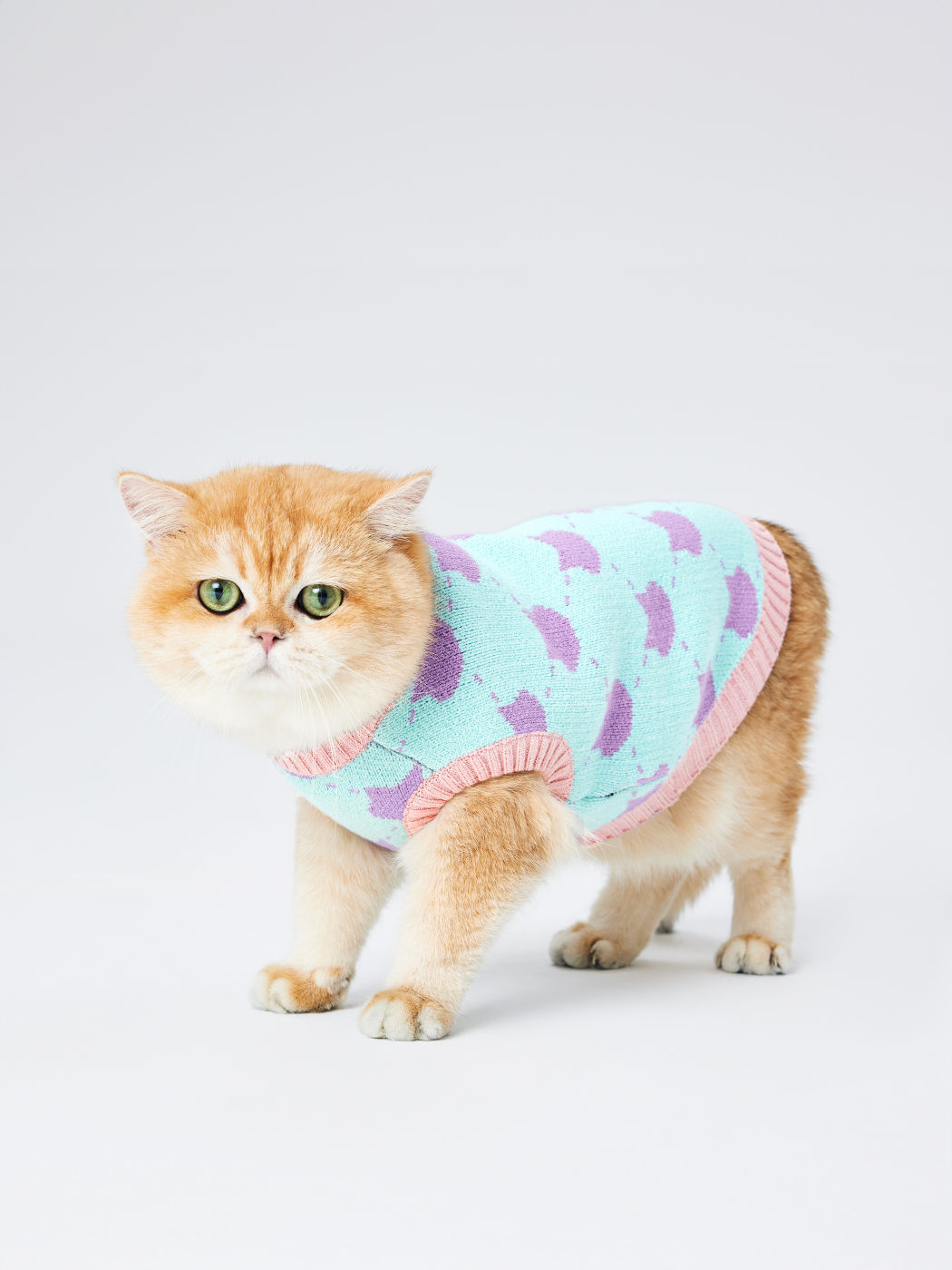 Cat Pattern Sweater