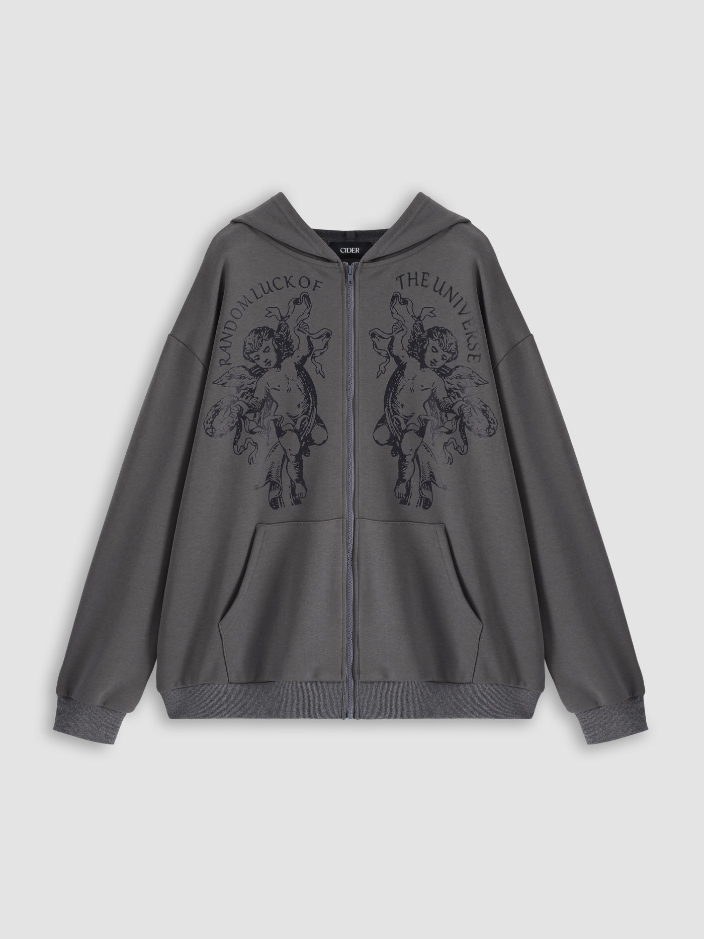Figure Zipper Up Oversized Hoodie Curve & Plus