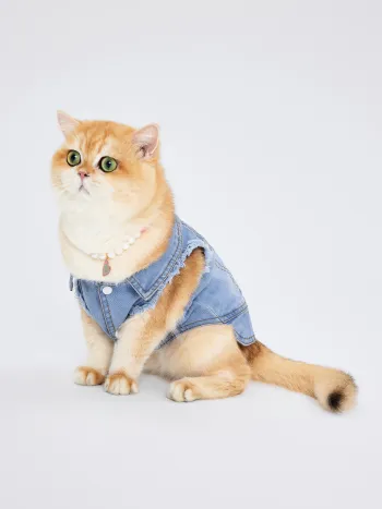 Denim Ripped Pet Clothing