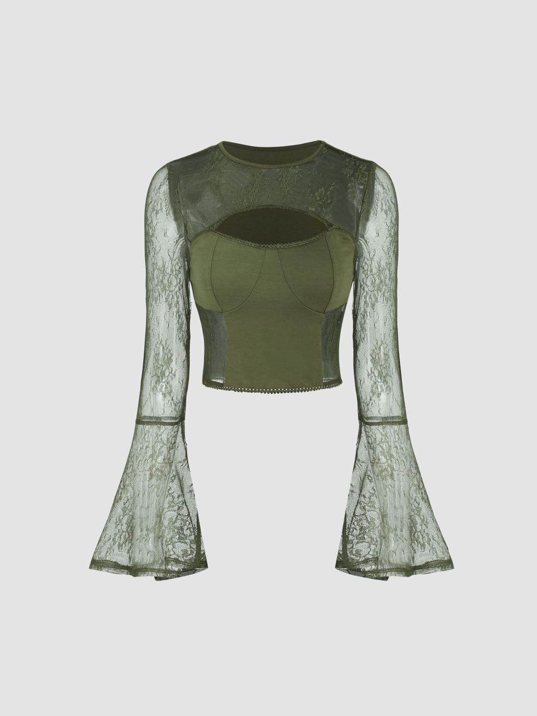 Lace Knit Fabric Lace Cut Out Long Sleeve Top For Daily Casual Date