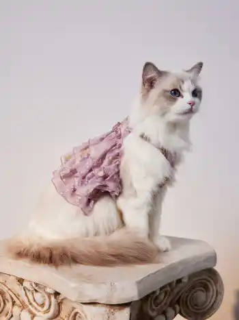 Floral Ruffle Pet Clothing