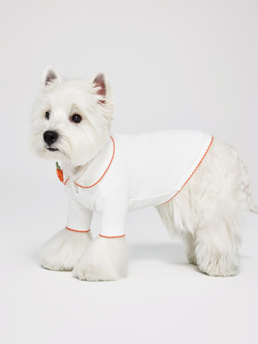 Carrot Detail Pet Clothing