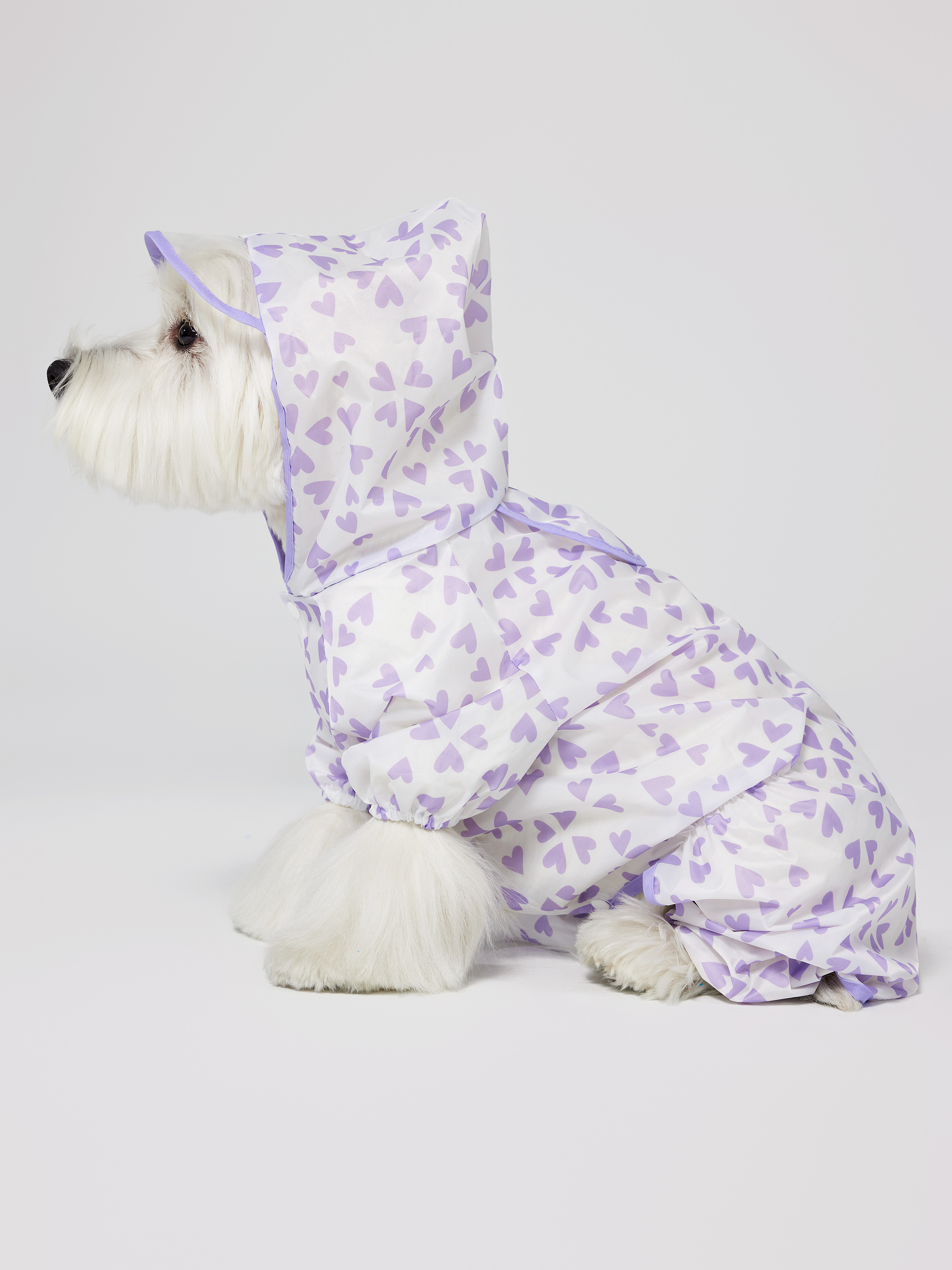 Aigumi hot sale puppy raincoat