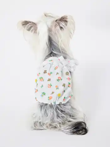 Floral & Bear Print Pet Clothing