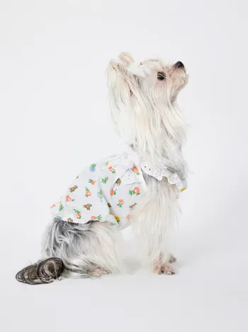Floral & Bear Print Pet Clothing