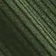color display image