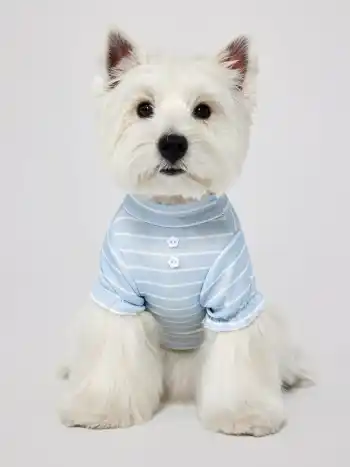 Striped Button Pet Clothing