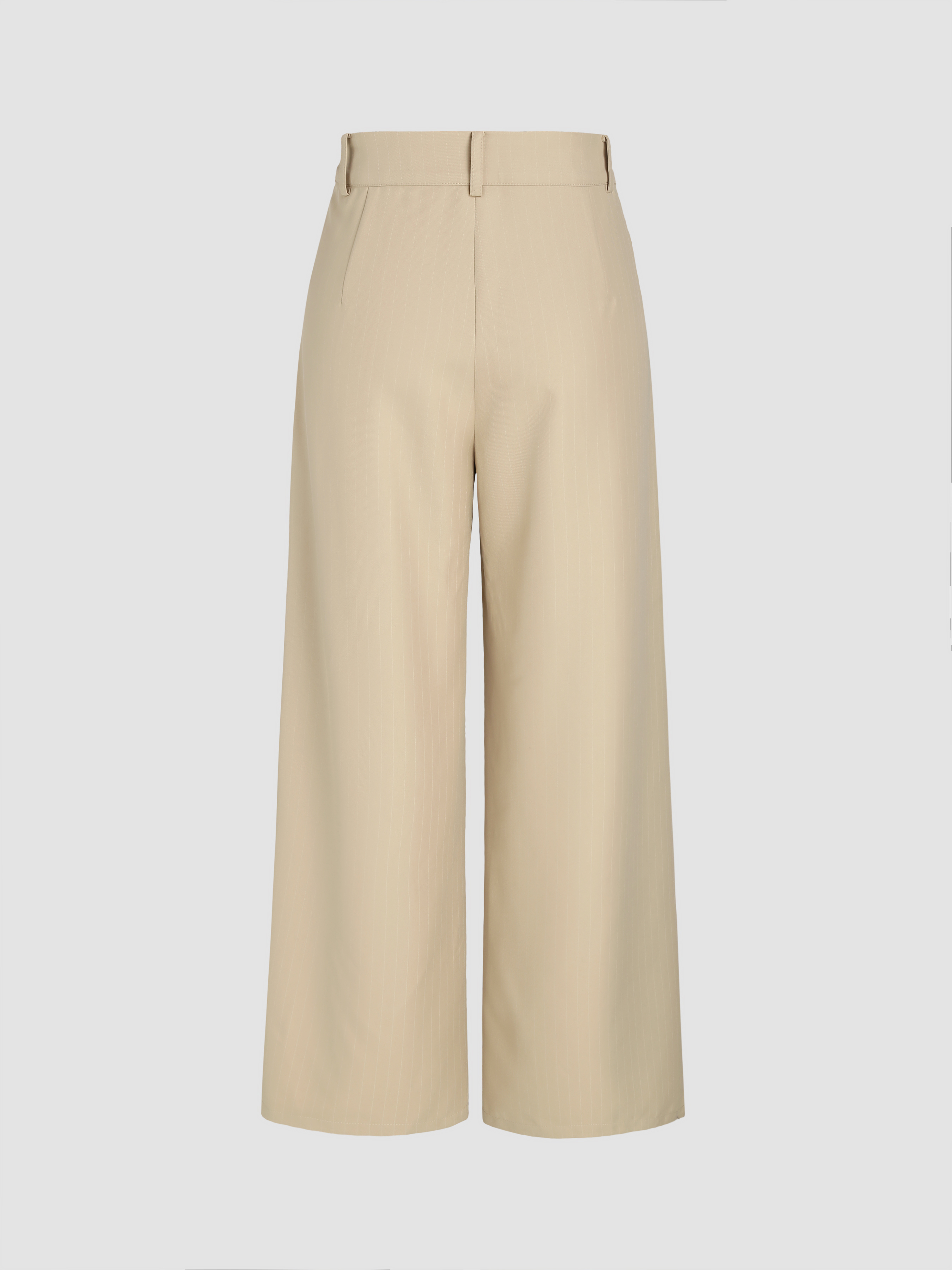 Woven High Rise Pleated Wide Leg Trousers For School Daily
