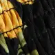 color display image