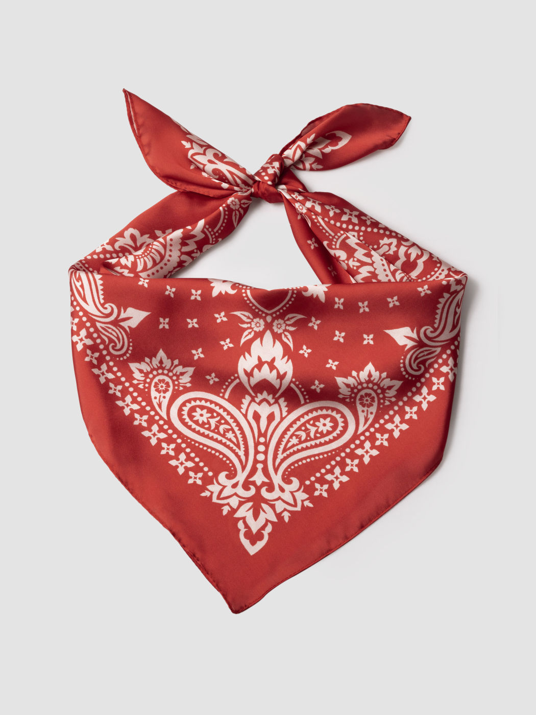  Diadema de Paisley