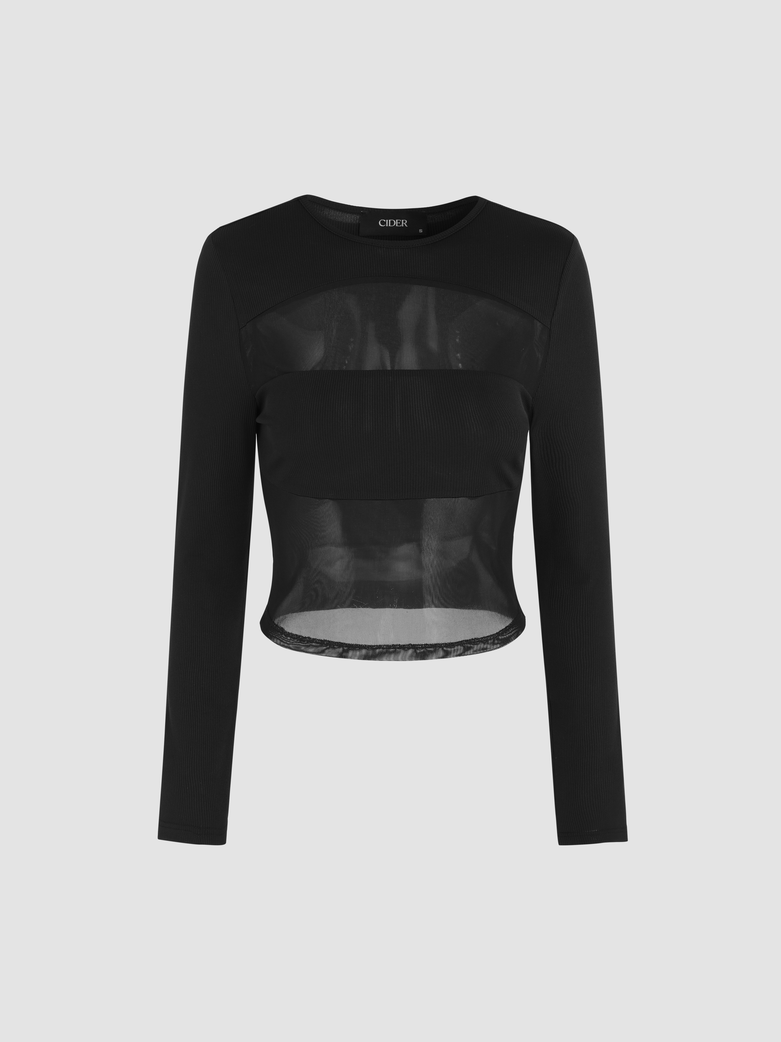 Mesh Solid Mesh Round Neckline Long Sleeve Top For Holiday