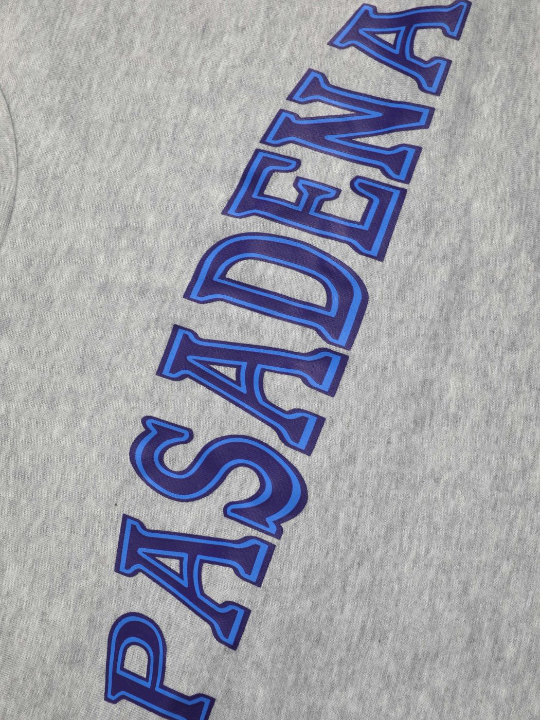  Rundhals Pasadena Patchy Grafik Sweatshirt
