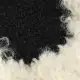color display image
