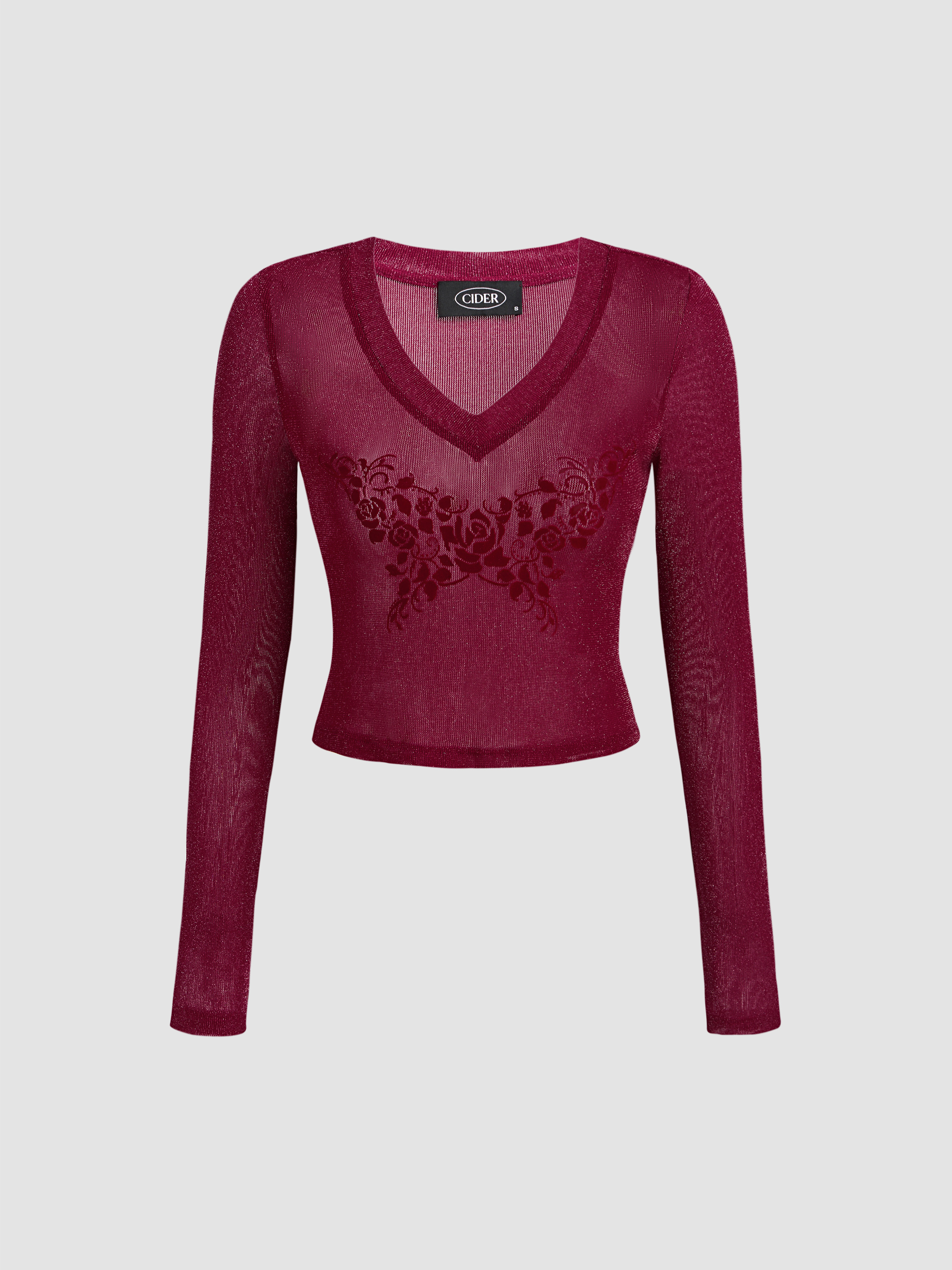 Mesh Mesh V-neck Flower Long Sleeve Top For Daily Casual
