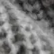 color display image
