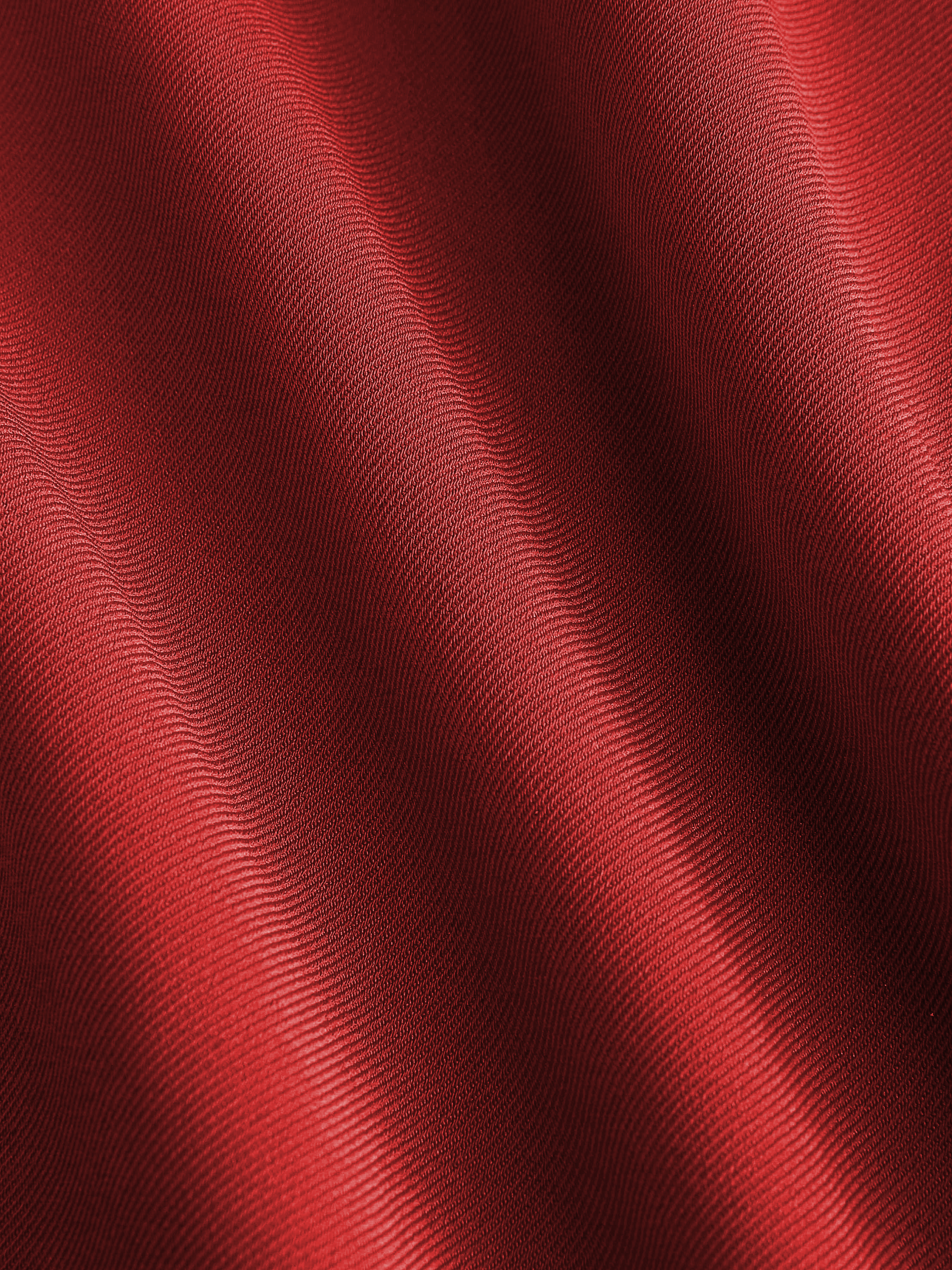 Petite High Waist Pleated Wide Leg Pants