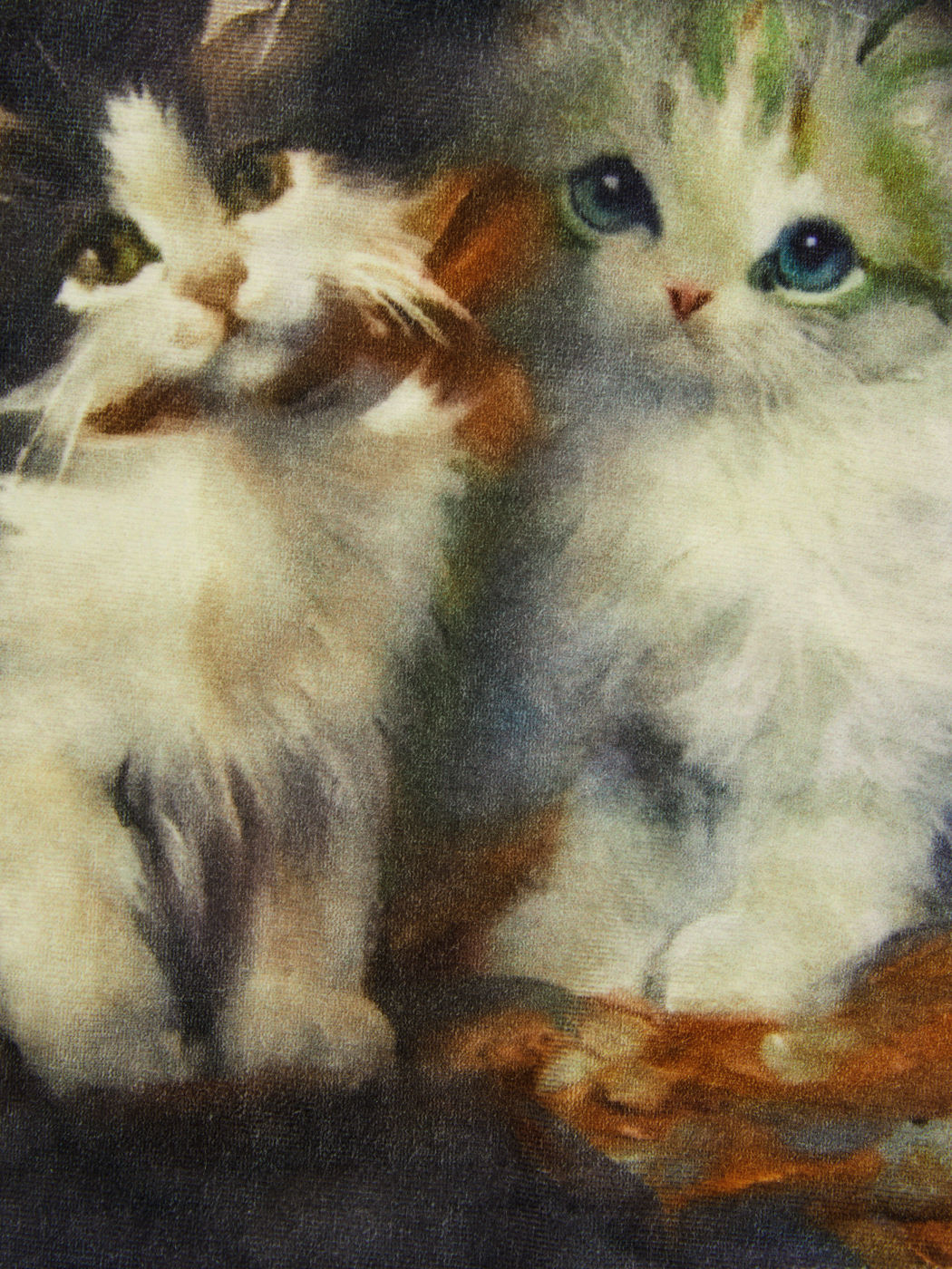  Quadratischer Ausschnitt Katze Kurzarm-Oberteil