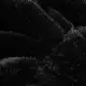 color display image
