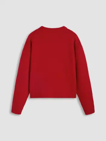 Maglione a maniche lunghe lavorato a maglia con scollo rotondo