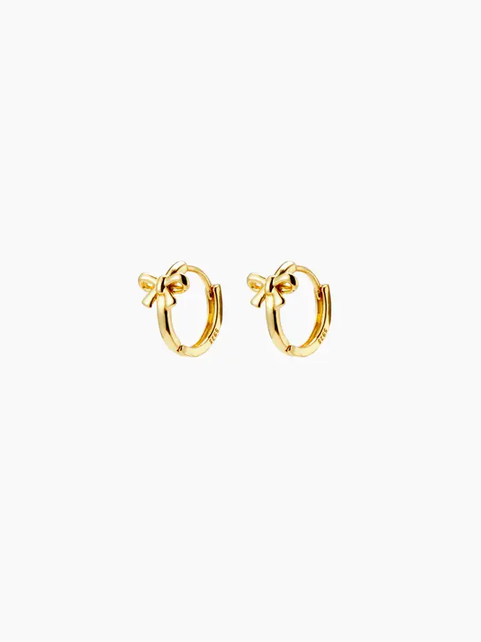 Bowknot Decor Hoop Earrings