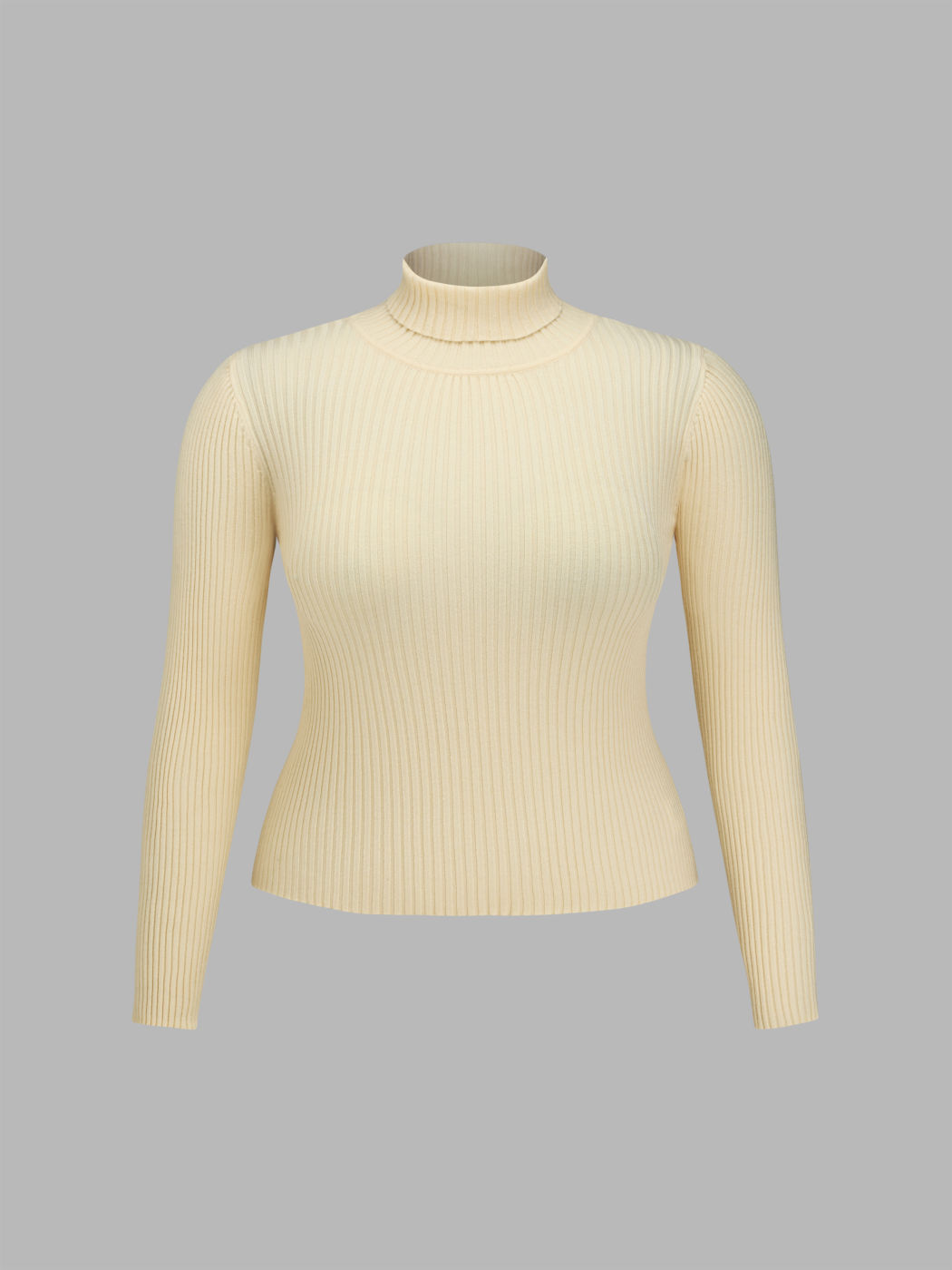 High Neck Solid Knitted Long Sleeve Top Curve & Plus