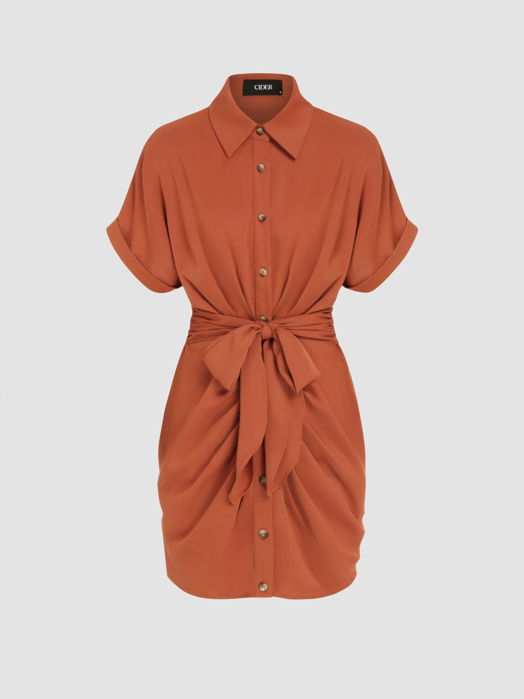 Collar Button Bowknot Mini Shirt Dress