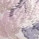 color display image