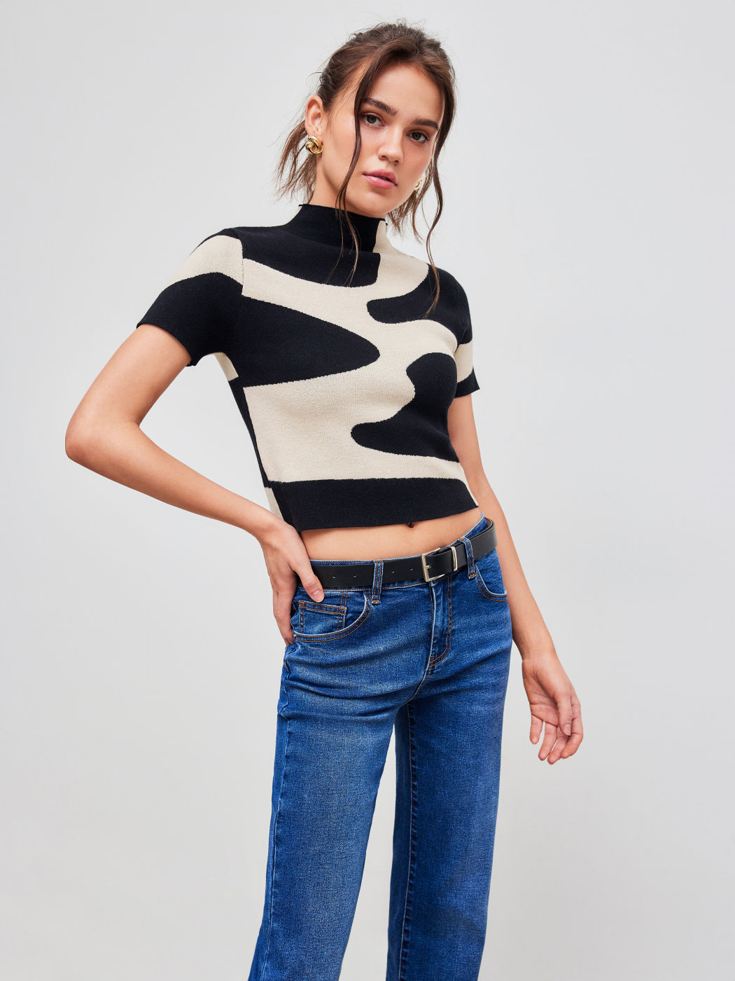 Knit High Neck Zebra Stripe Short Sleeve Top
