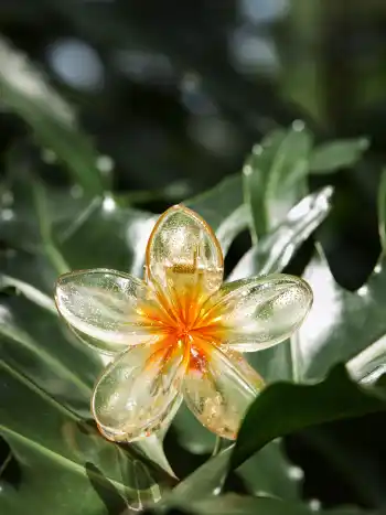 Floral Hair Claw
