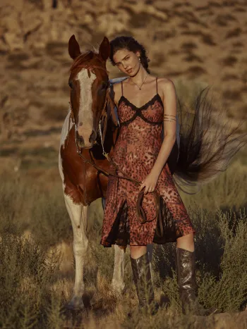 Mesh V-Ausschnitt Leopardenmuster Spitzenbesatz Rüschen Midikleid