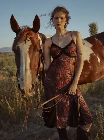Mesh V-Ausschnitt Leopardenmuster Spitzenbesatz Rüschen Midikleid