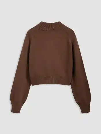 Strick Wollmischung Hoher Kragen Einfarbig Langarm Crop Pullover