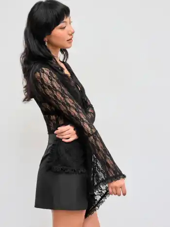 Lace V-neck Solid See-through Long Sleeve Top