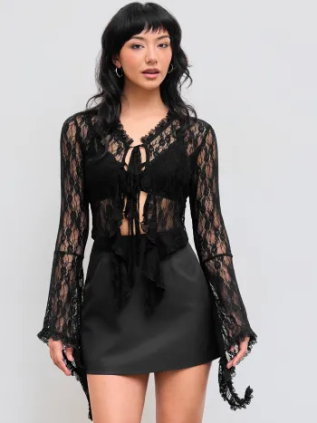 Lace V-neck Solid See-through Long Sleeve Top